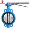 300PSI Double Eccentric Disc Butterfly Valve With Handle